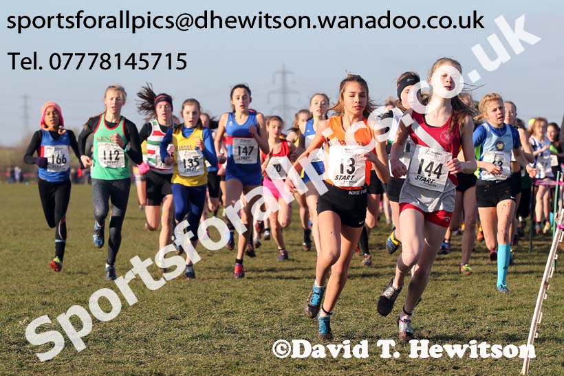 Girls under-13s Northern Cross Country  Championships, Pontefract. Photo: David T. Hewitson/Sports for All Pics